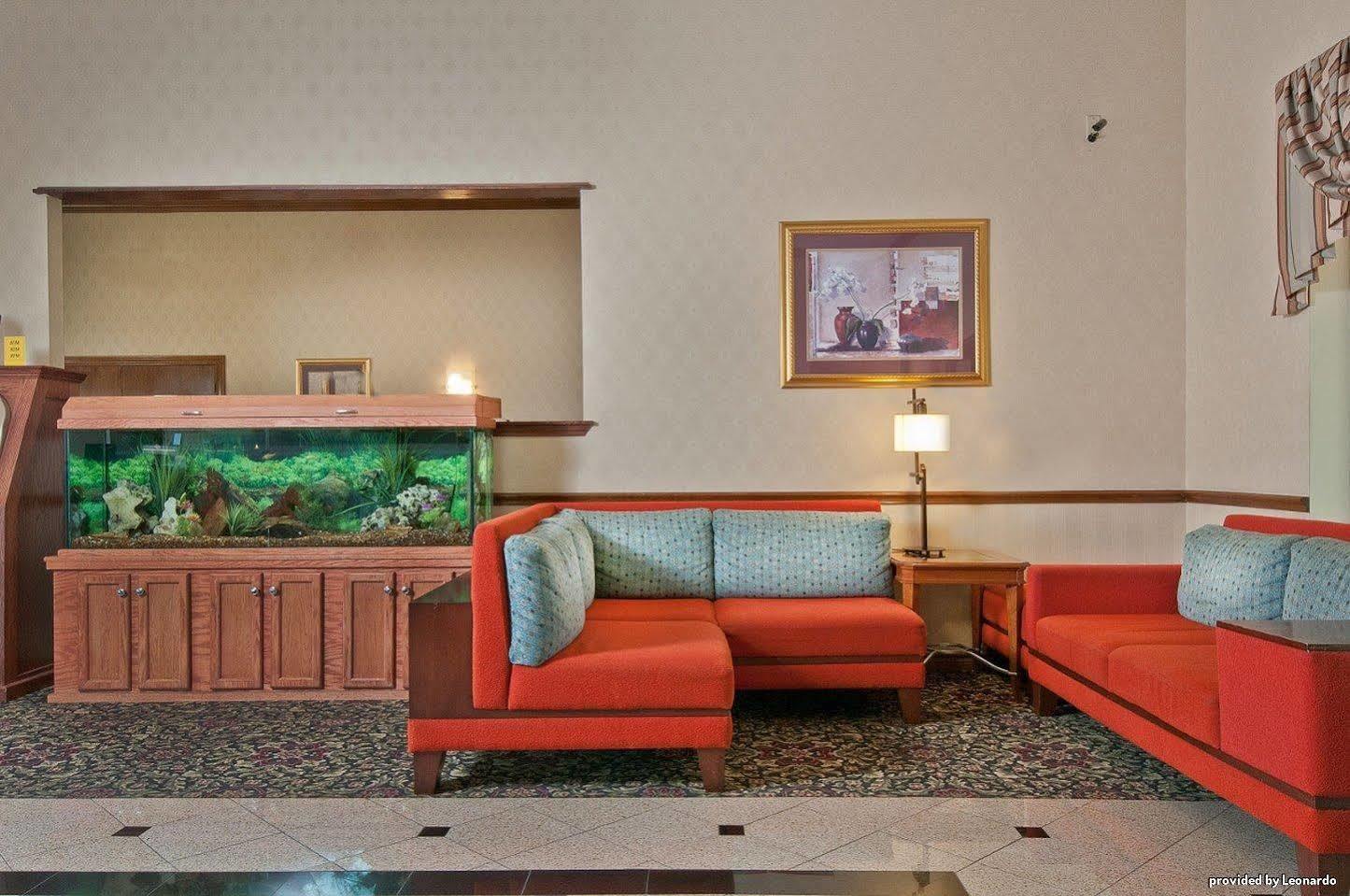 Best Western Near Lackland Afb Seaworld Сан-Антоніо Інтер'єр фото